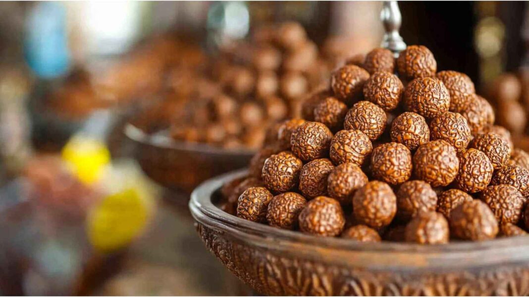 Sacred Rudraksha Beads in Hinduism Spirituality Rituals and Temple Traditions